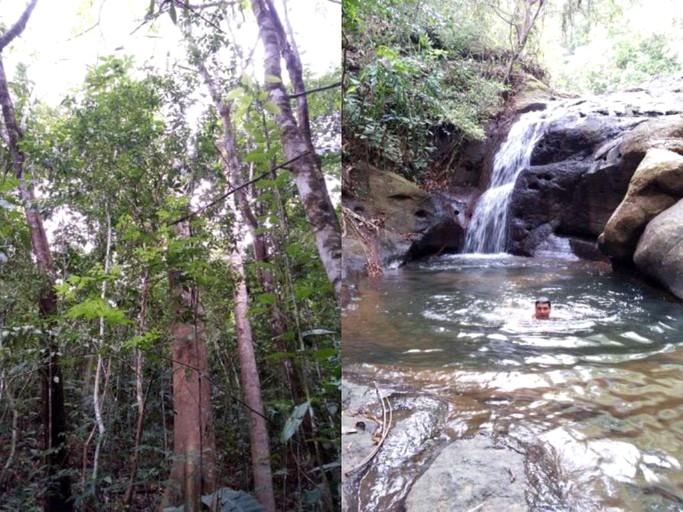 Cabins (Platanillo, San Jose, Costa Rica)