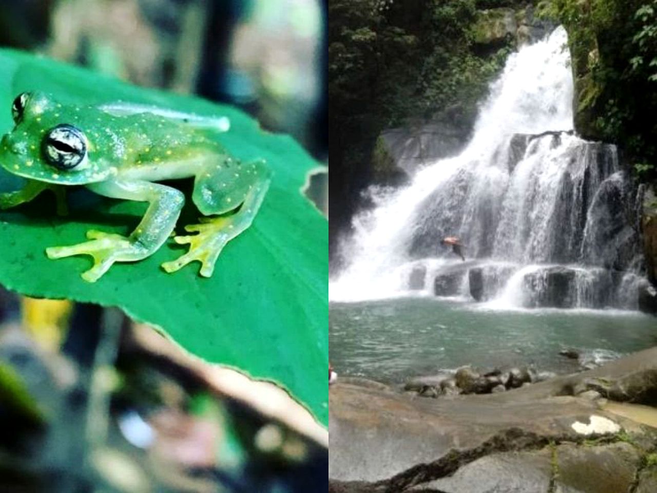 Rustic Cabin Rental on a Secluded Rainforest Property in Platanillo, Costa Rica