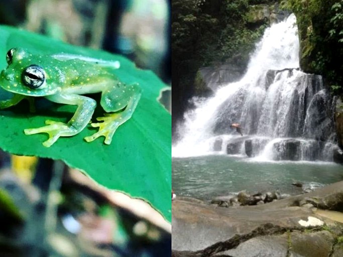 Cabins (Platanillo, San Jose, Costa Rica)
