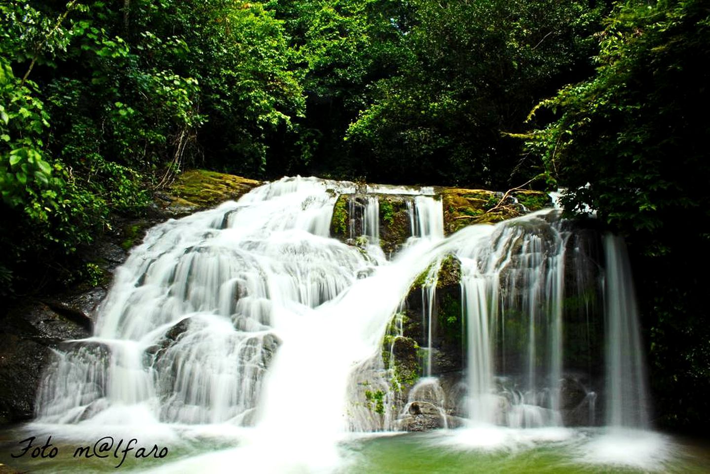 Romantic Rainforest Getaway with a Balcony and a Private Bathroom near Dominical, Costa Rica