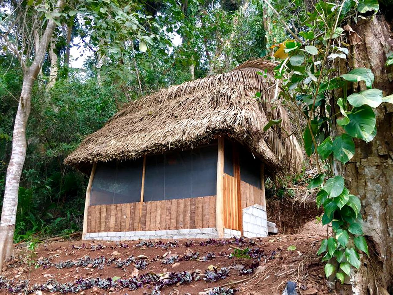 Off-Grid Cabin for Sustainable Nature Retreat in the Jungle near Sayulita, Mexico