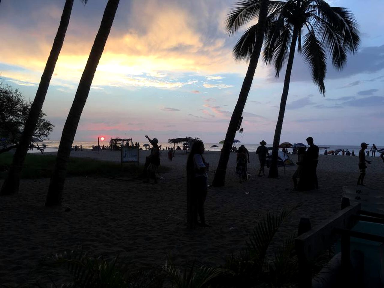 Secluded, Off-Grid Cabin for Unique Jungle Getaway near Sayulita, Mexico