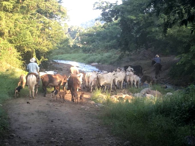 Cabins (San Francisco, Nayarit, Mexico)
