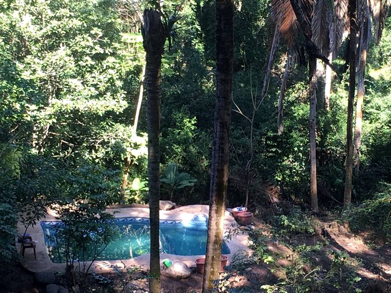 Secluded, Off-Grid Cabin for Unique Jungle Getaway near Sayulita, Mexico