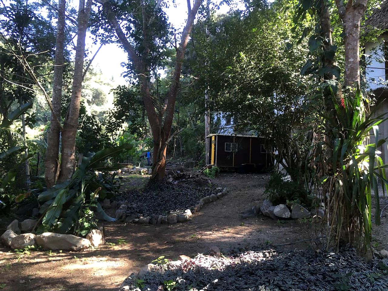 Secluded, Off-Grid Cabin for Unique Jungle Getaway near Sayulita, Mexico