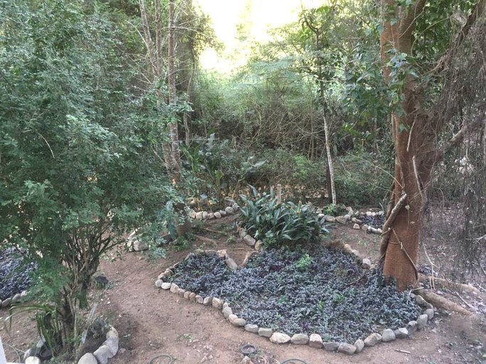 Cabins (San Francisco, Nayarit, Mexico)