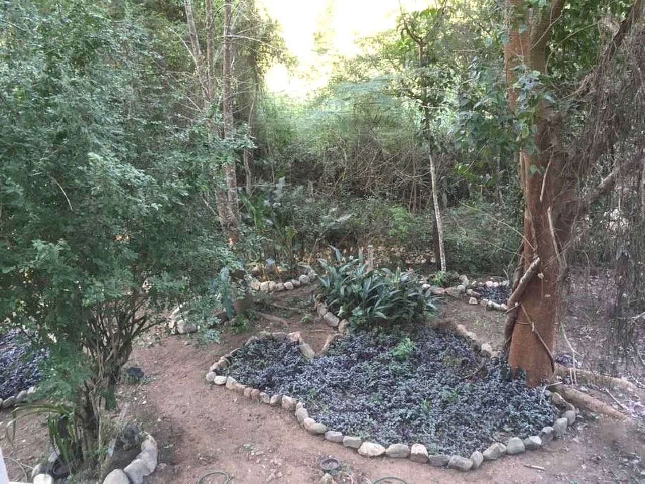 Secluded, Off-Grid Cabin for Unique Jungle Getaway near Sayulita, Mexico