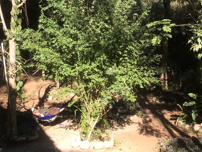 Cabins (San Francisco, Nayarit, Mexico)