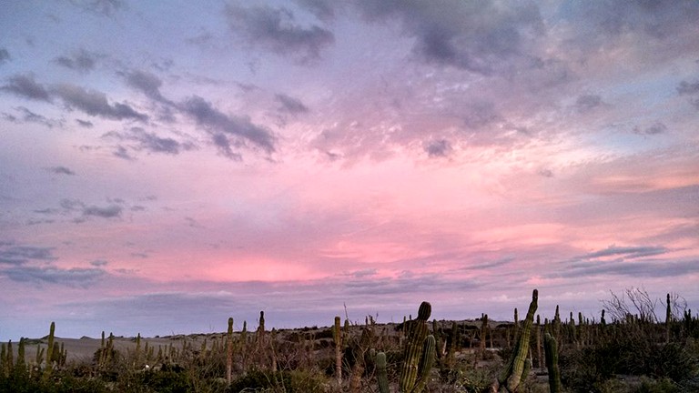 Huts (El Cajete, Baja California del Sur, Mexico)