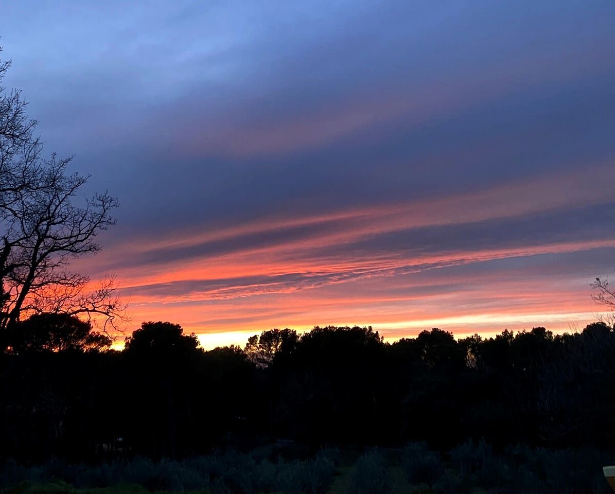 Charming Eco-Friendly Forest Refuge with Outdoor Living Near Mondragon, France