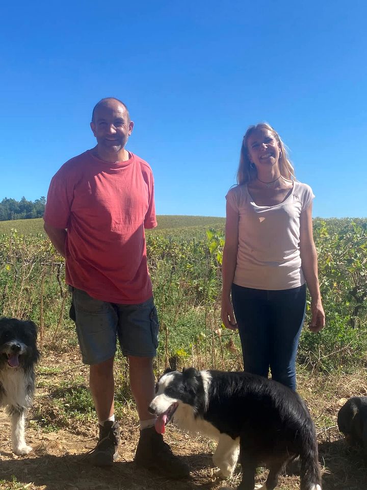 Charming Eco-Friendly Forest Refuge with Outdoor Living Near Mondragon, France