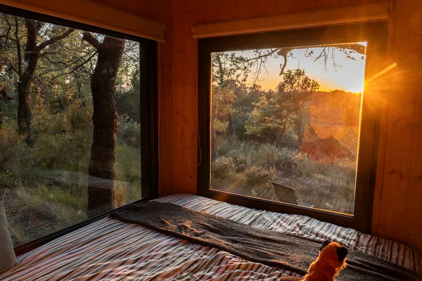 Charming Eco-Friendly Forest Refuge with Outdoor Living Near Mondragon, France