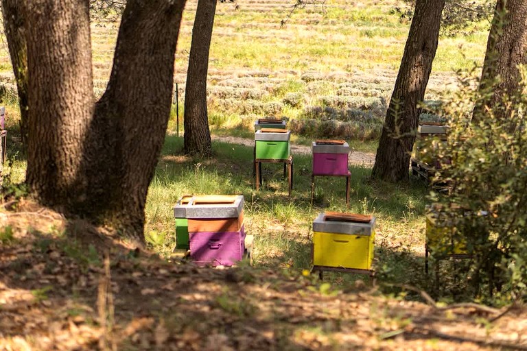 Vacation Rentals (France, --, Provence-Alpes-Côte d'Azur)