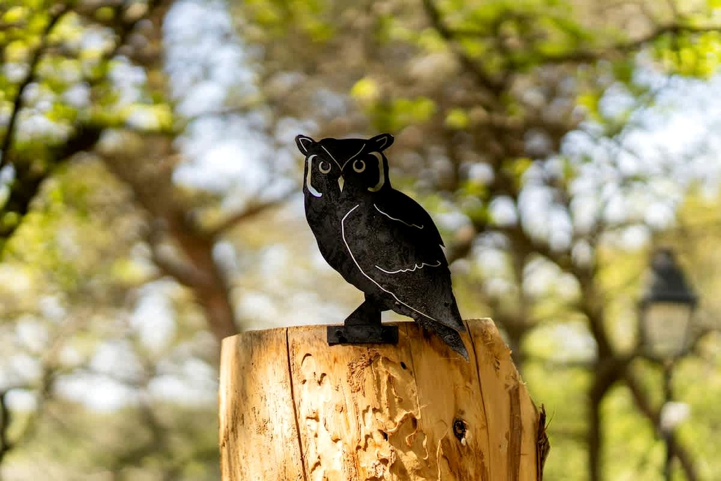 Charming Eco-Friendly Forest Refuge with Outdoor Living Near Mondragon, France