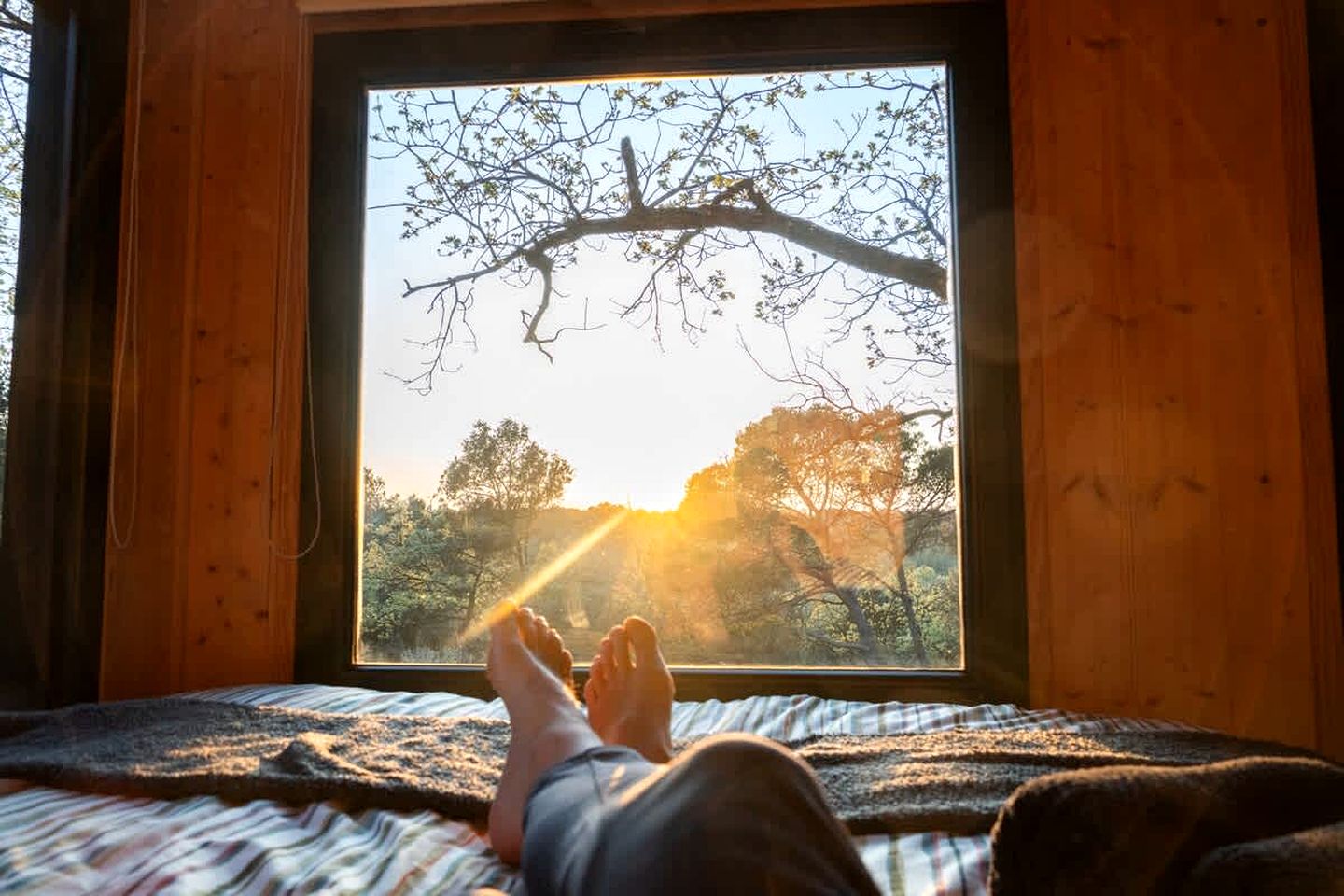 Charming Eco-Friendly Forest Refuge with Outdoor Living Near Mondragon, France