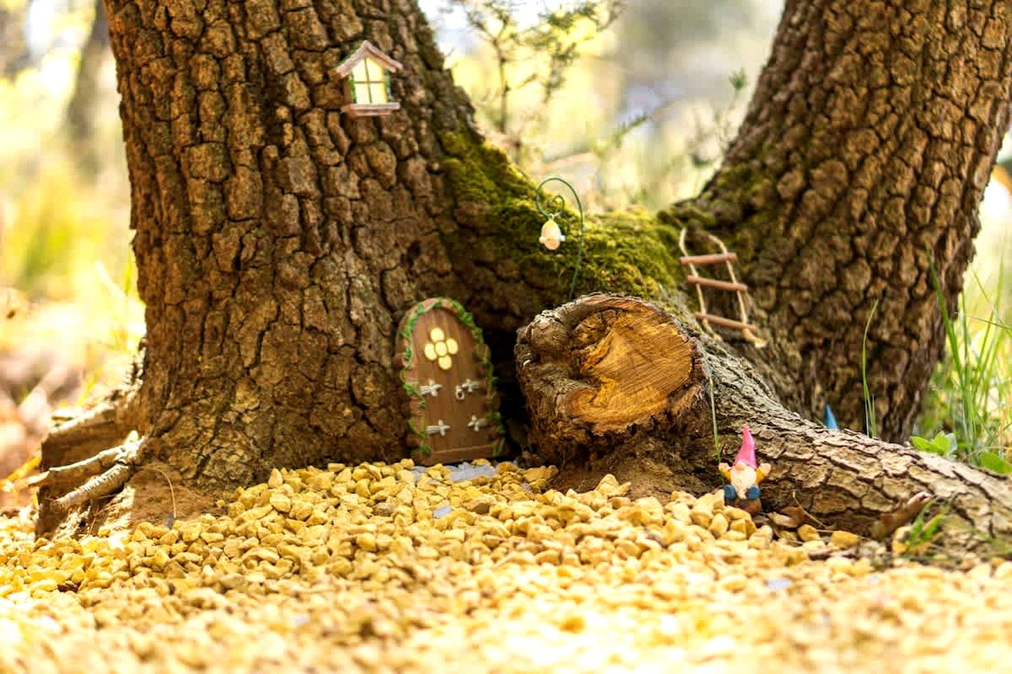 Charming Eco-Friendly Forest Refuge with Outdoor Living Near Mondragon, France