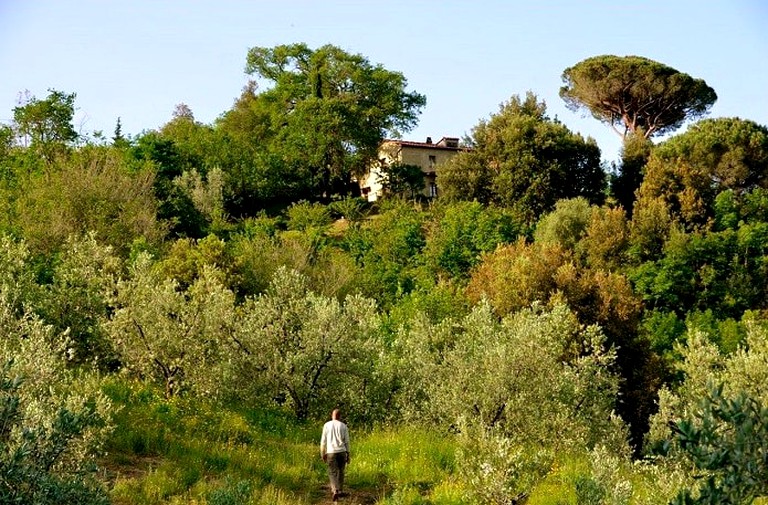 Cabins (Livorno, Tuscany, Italy)