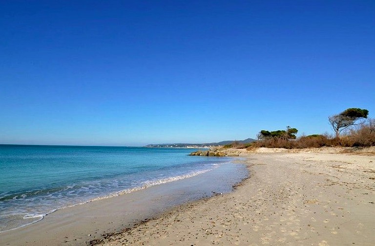 Bell Tents (Livorno, Tuscany, Italy)