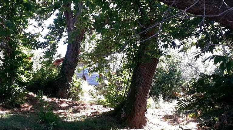 Bell Tents (Livorno, Tuscany, Italy)