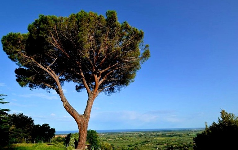 Bell Tents (Livorno, Tuscany, Italy)