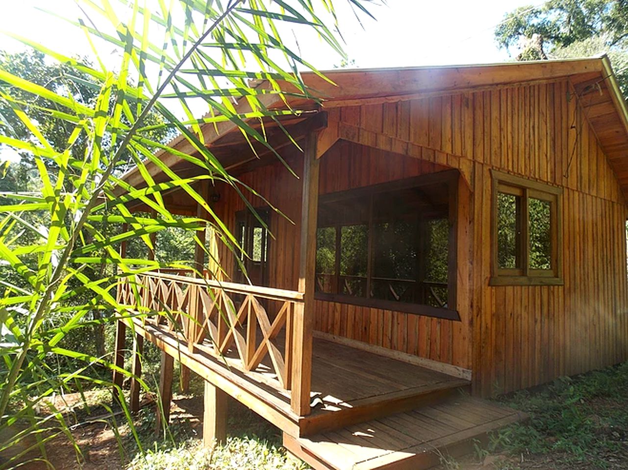 Gorgeous Elevated Cabin in the Jungle in Misiones, Argentina