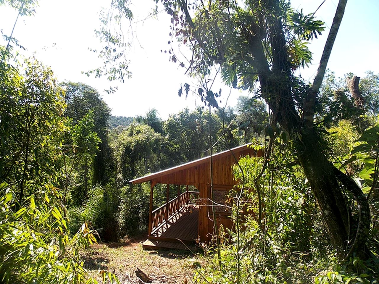 Gorgeous Elevated Cabin in the Jungle in Misiones, Argentina