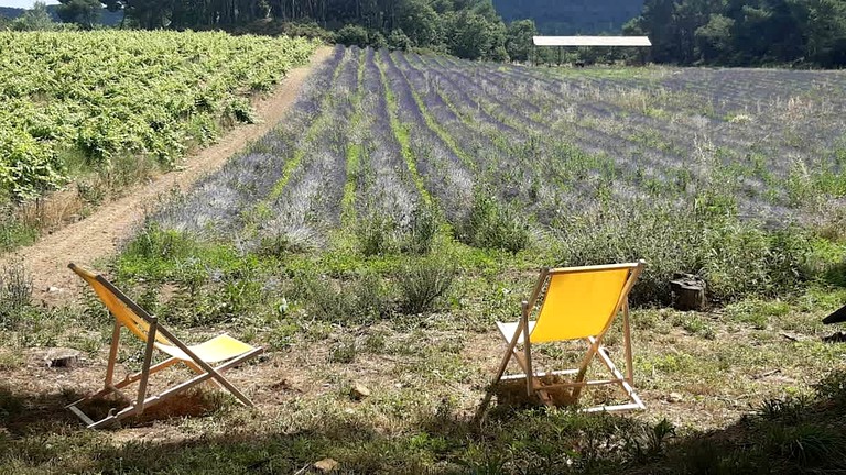 Vacation Rentals (France, --, Provence-Alpes-Côte d'Azur)