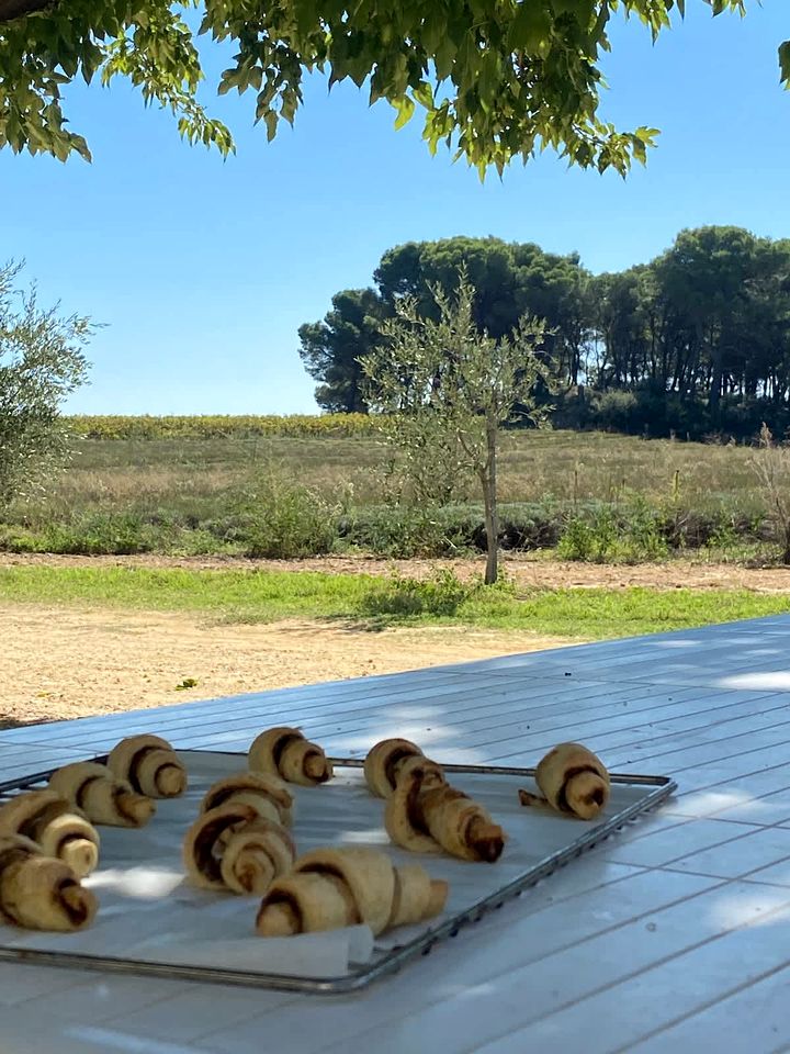 Scenic Eco Tiny Home with Sunrise & Lavender Views near the Rhône River, Mondragon, France