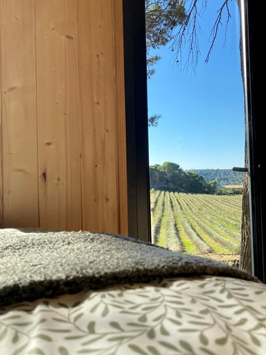 Vacation Rentals (France, --, Provence-Alpes-Côte d'Azur)