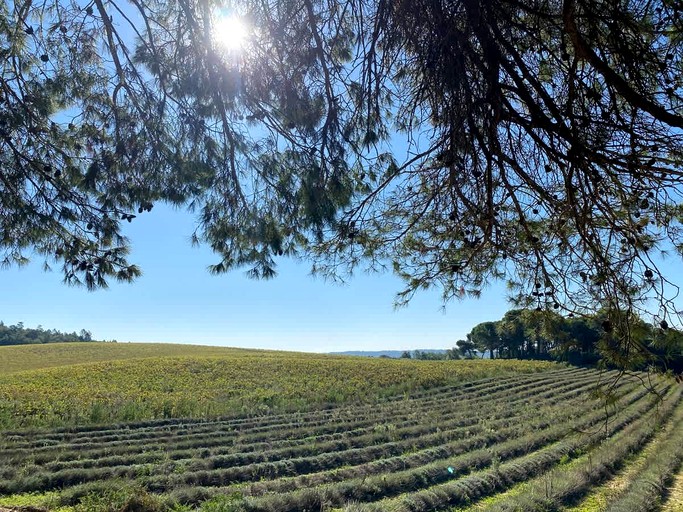 Vacation Rentals (France, --, Provence-Alpes-Côte d'Azur)