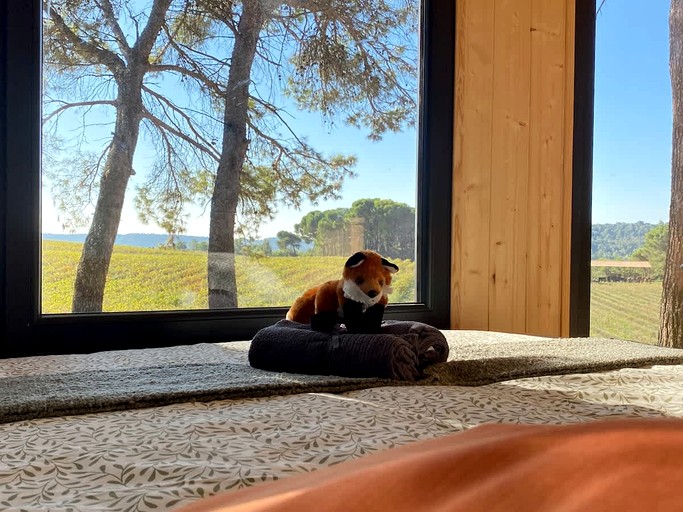 Vacation Rentals (France, --, Provence-Alpes-Côte d'Azur)