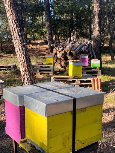 Vacation Rentals (France, --, Provence-Alpes-Côte d'Azur)