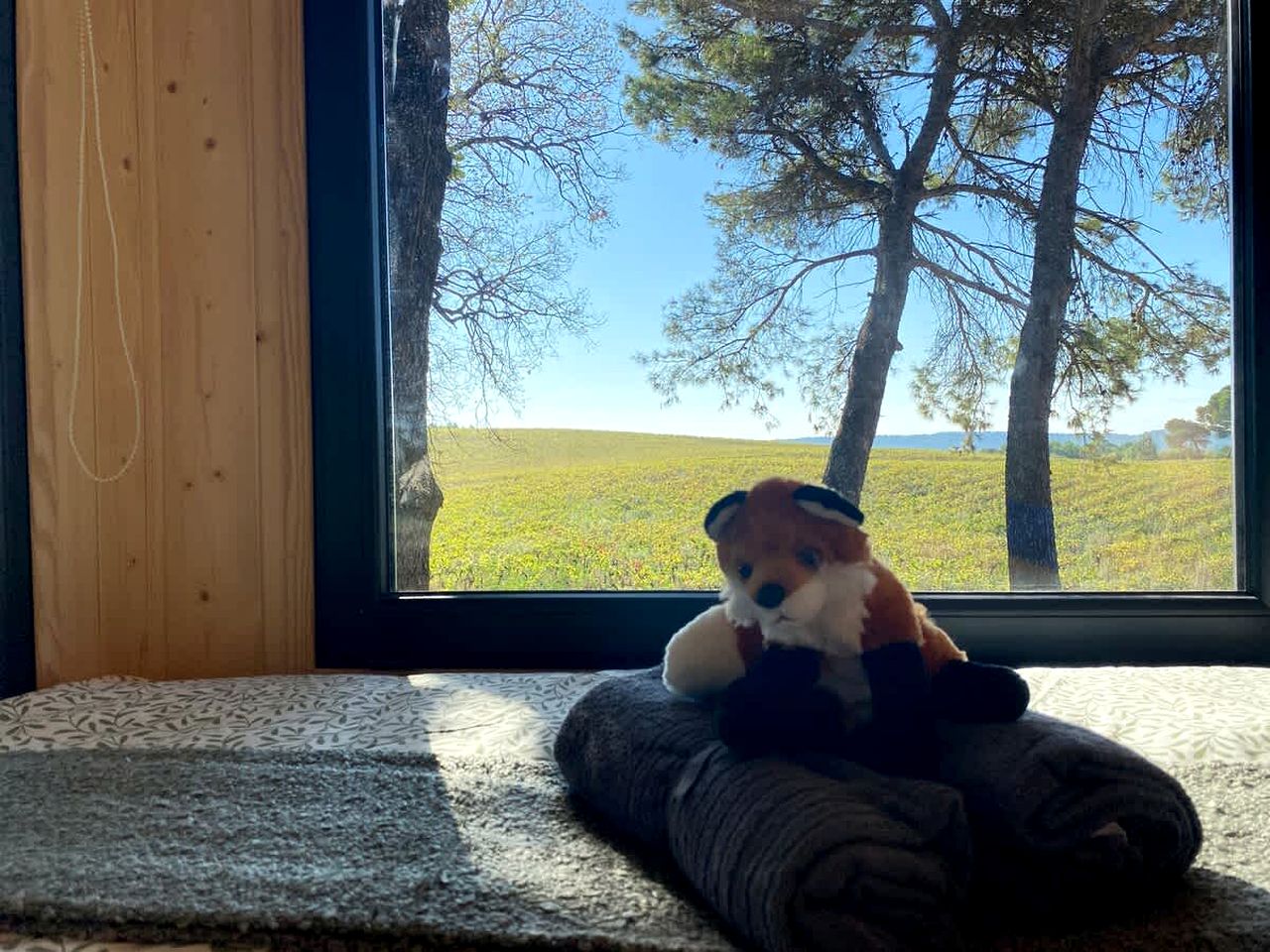 Scenic Eco Tiny Home with Sunrise & Lavender Views near the Rhône River, Mondragon, France