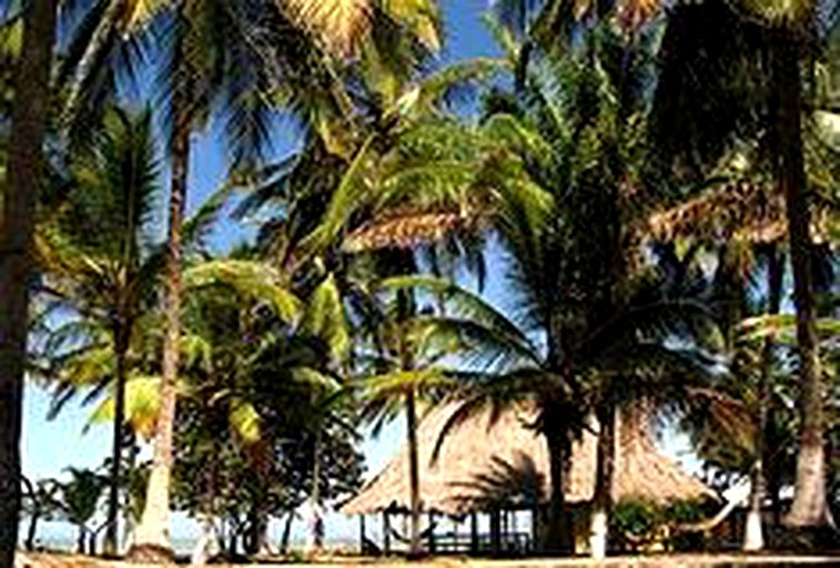 Huts (Palomino, La Guajira, Colombia)