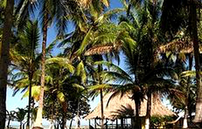 Huts (Palomino, La Guajira, Colombia)