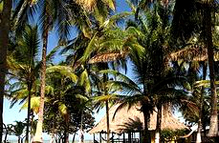 Huts (Palomino, La Guajira, Colombia)