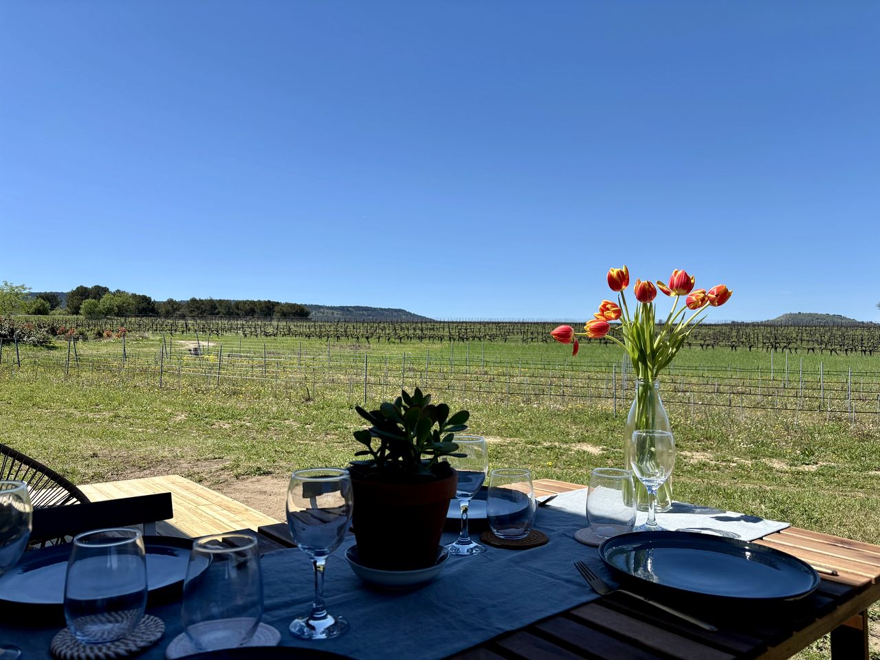 Cosy Eco-Friendly Tiny House with Vineyard Views near Aix-en-Provence, France