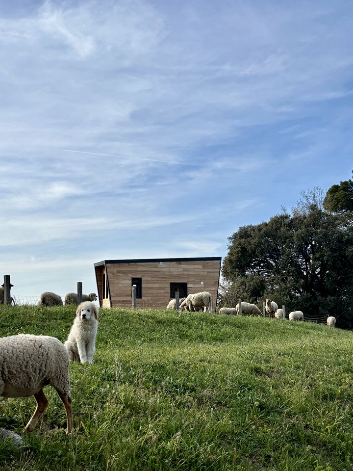 Cosy Eco-Friendly Tiny House with Vineyard Views near Aix-en-Provence, France