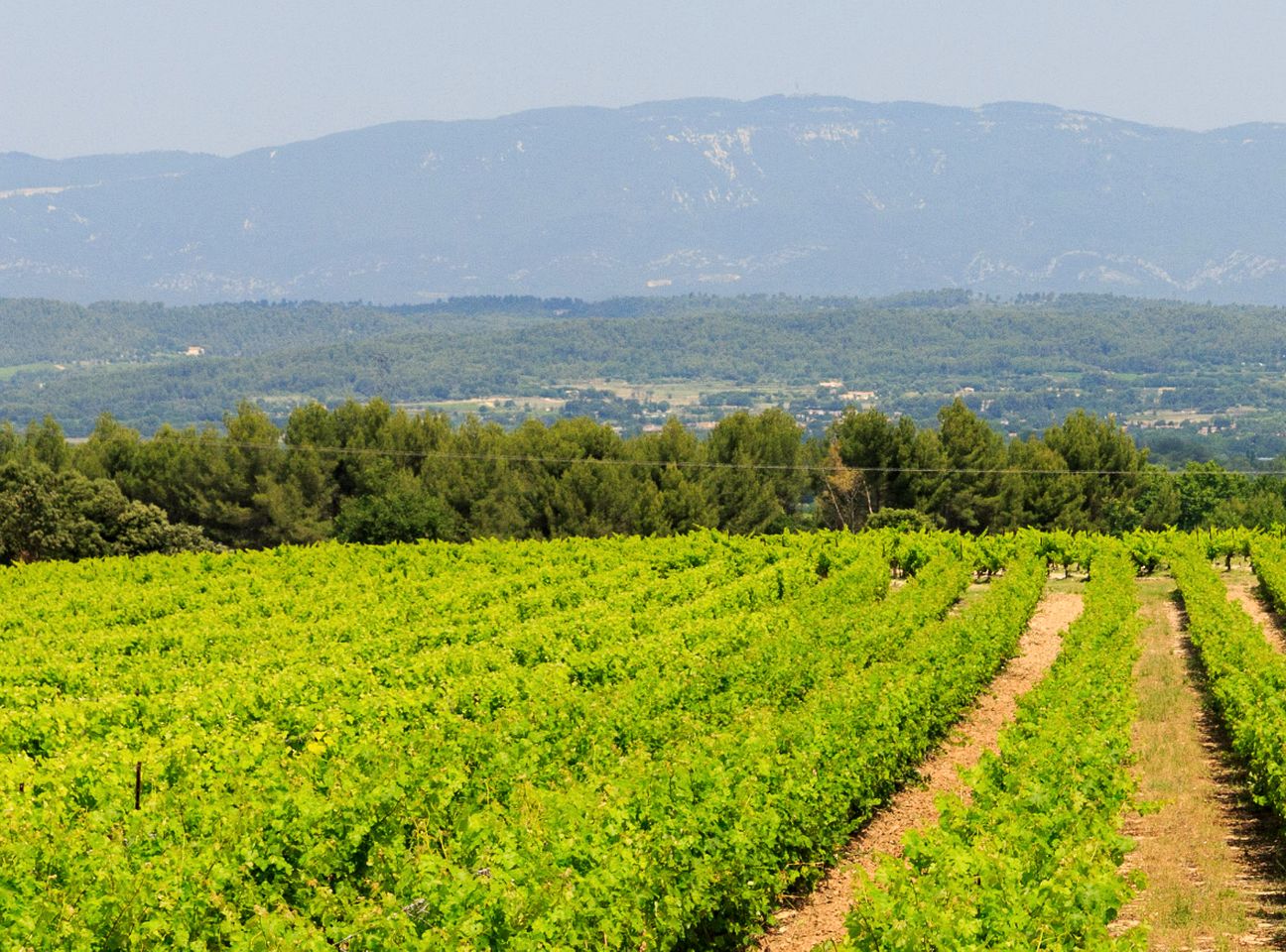 Cosy Eco-Friendly Tiny House with Vineyard Views near Aix-en-Provence, France