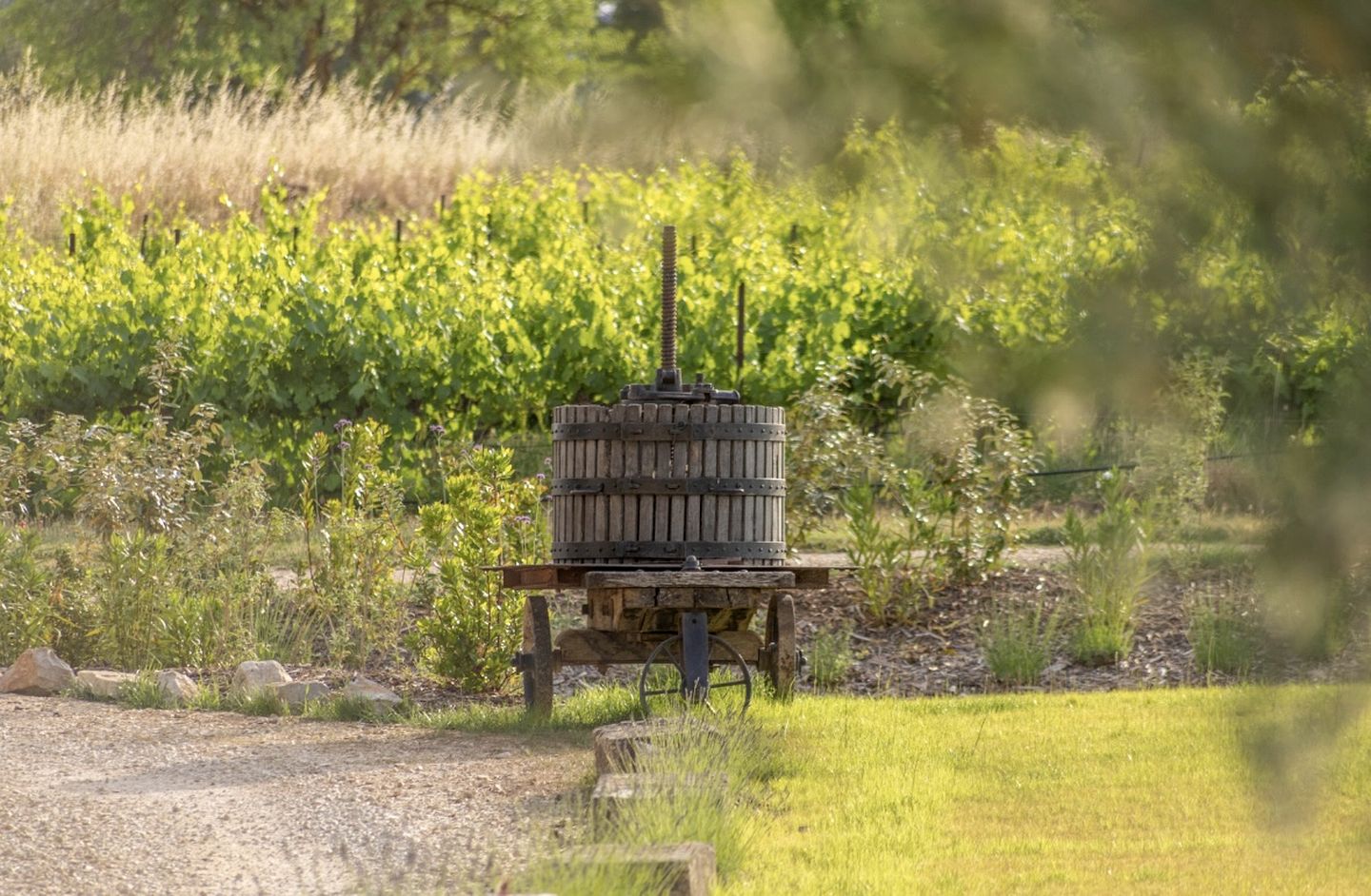 Cosy Eco-Friendly Tiny House with Vineyard Views near Aix-en-Provence, France