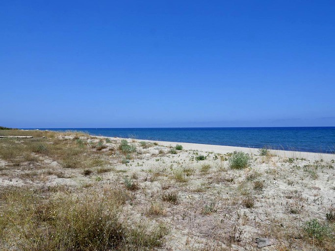 Villas (Taglio-Isolaccio, Corsica, France)