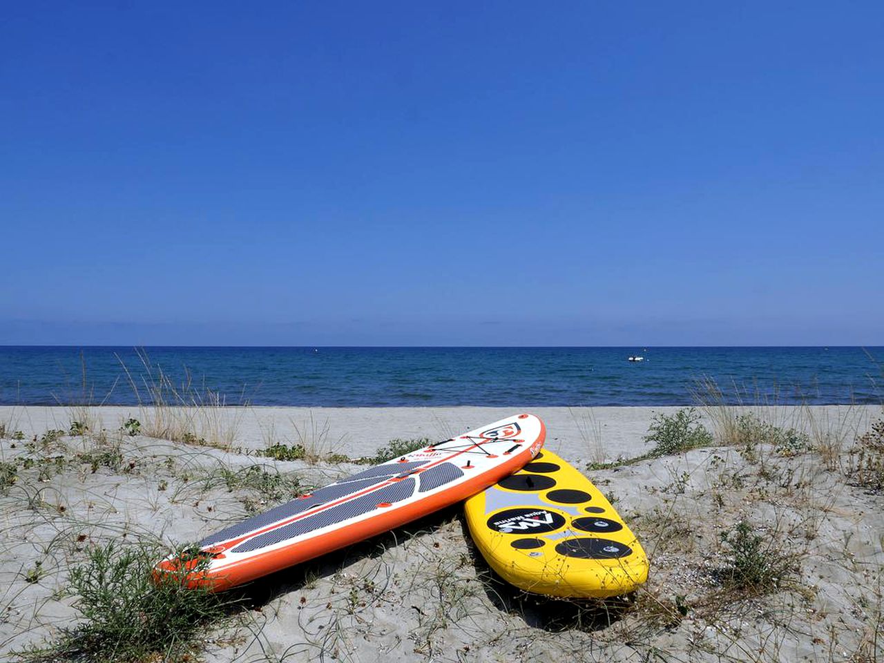 Beachfront Villa Rental with a Huge Patio near Bastia, Corsica, France