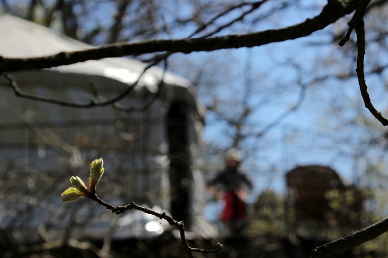 Yurts (Graissessac, Occitanie, France)