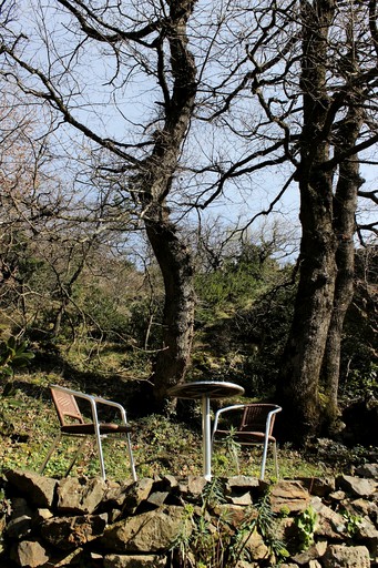 Yurts (Graissessac, Occitanie, France)