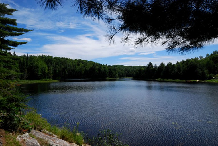 Cabins (Wakefield, Quebec, Canada)