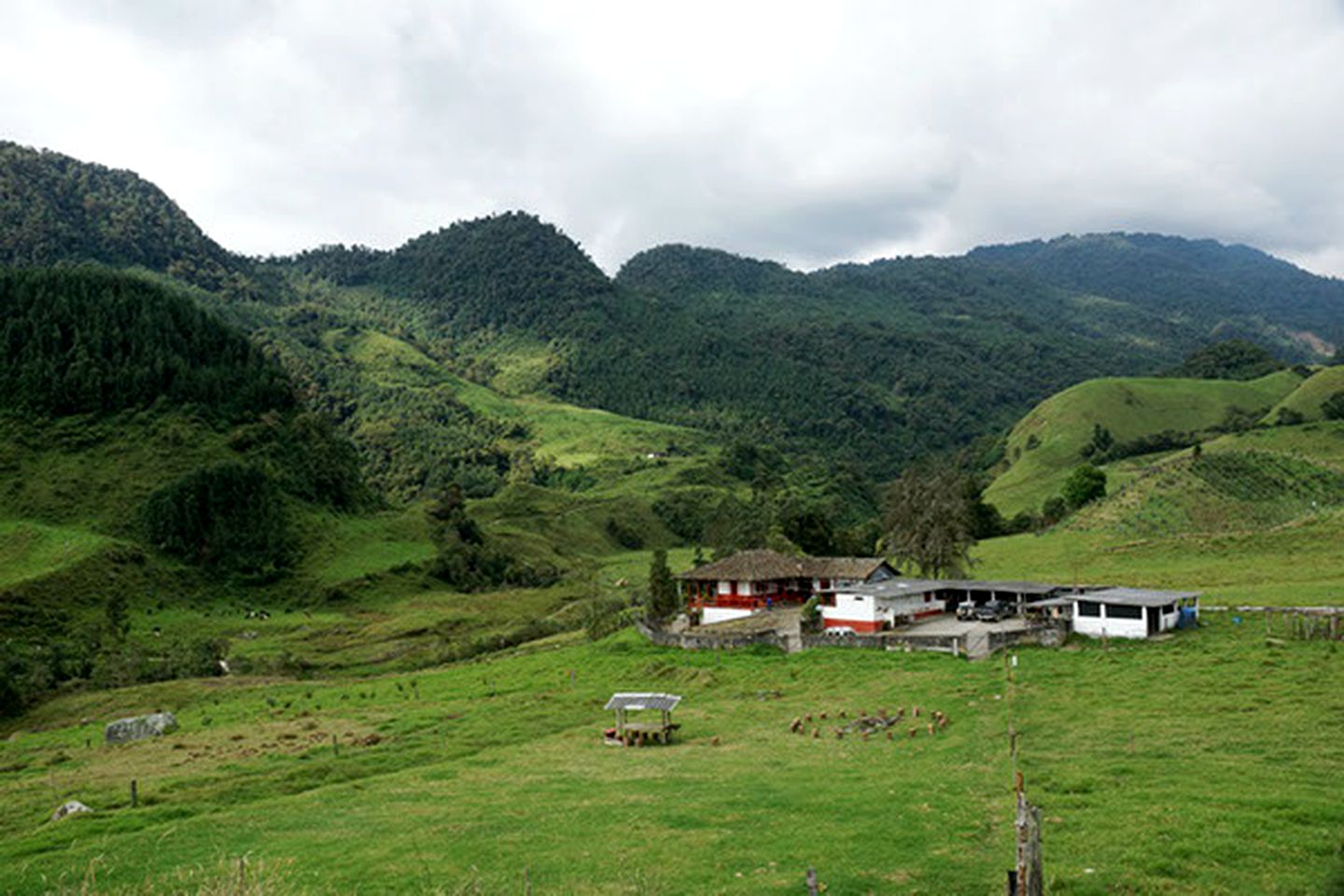 Authentic Hut Rental for a Unique Holiday near Manizales, Colombia