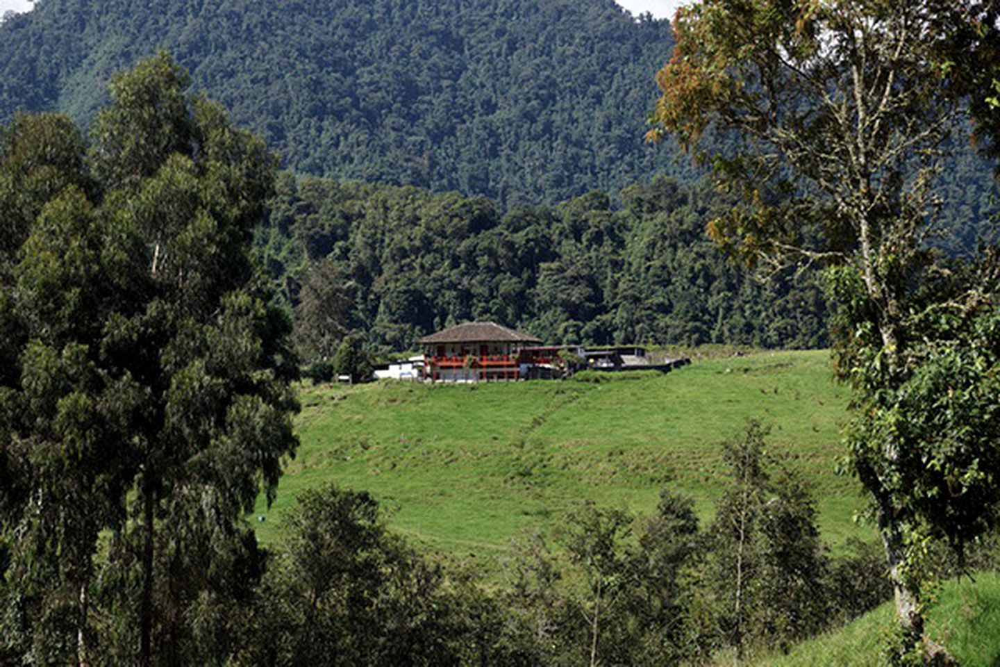 Simple Cabin Rental with On-Site Restaurant for a Rural Vacation in Caldas, Colombia