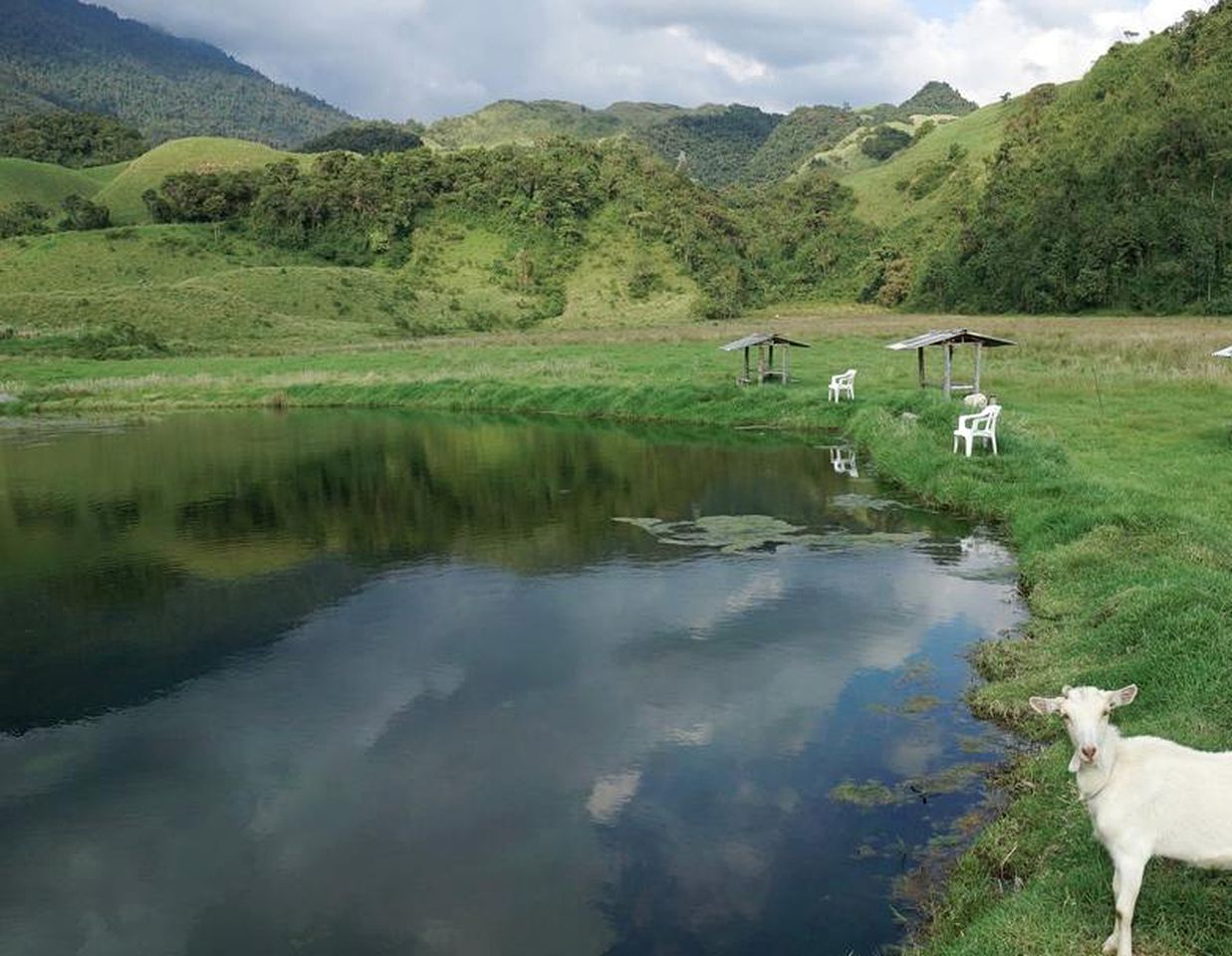 Simple Cabin Rental with On-Site Restaurant for a Rural Vacation in Caldas, Colombia