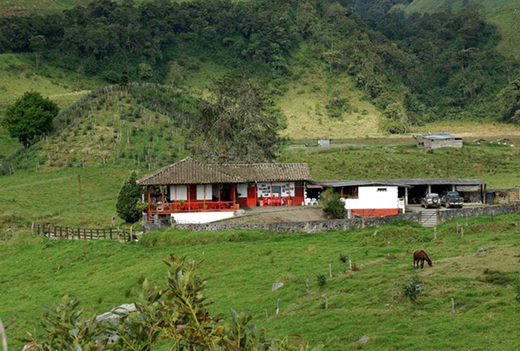 Huts (Manizales, Caldas, Colombia)