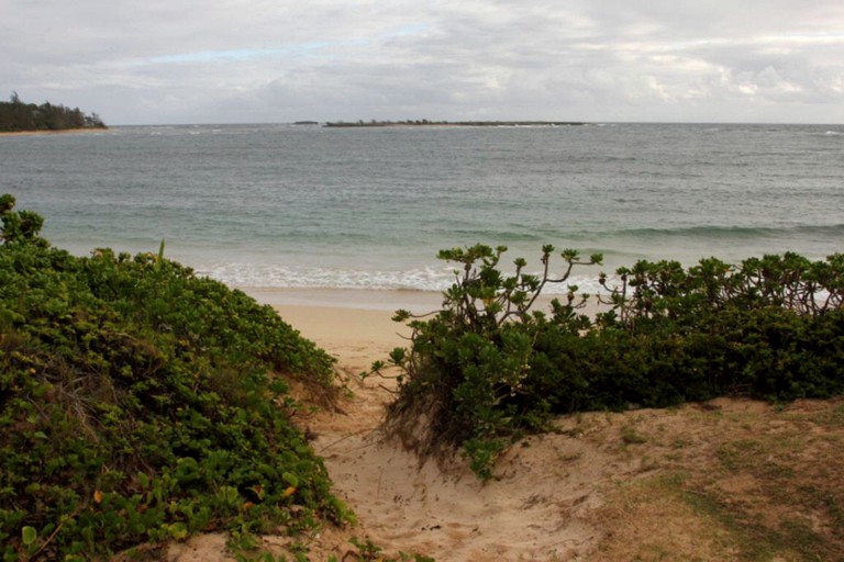 Beach Houses (Laie, Hawaii, United States)